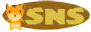 SNS